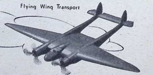 Flying Wing Transport project